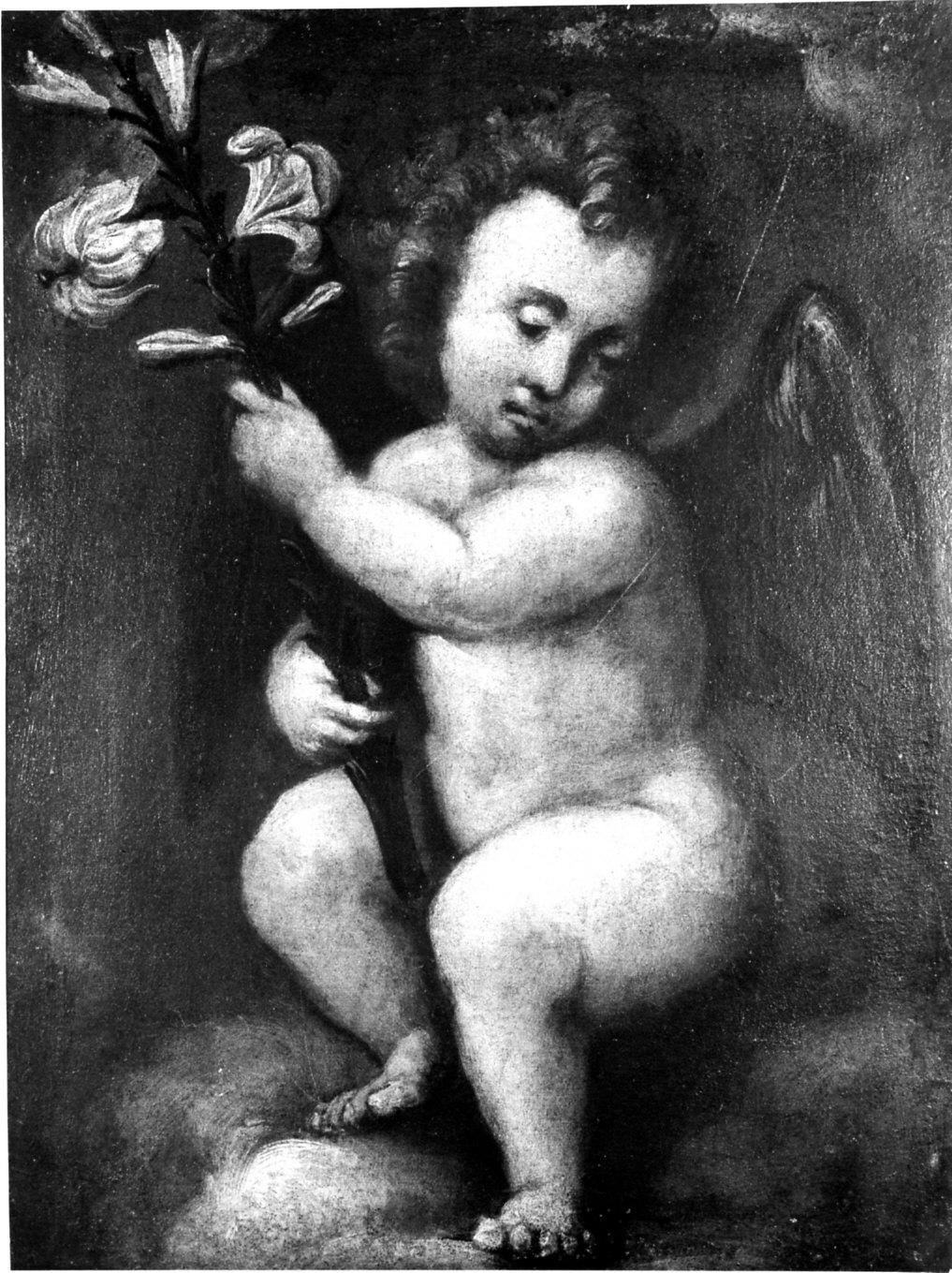 angioletti (dipinto, serie) - ambito lombardo (sec. XVII)