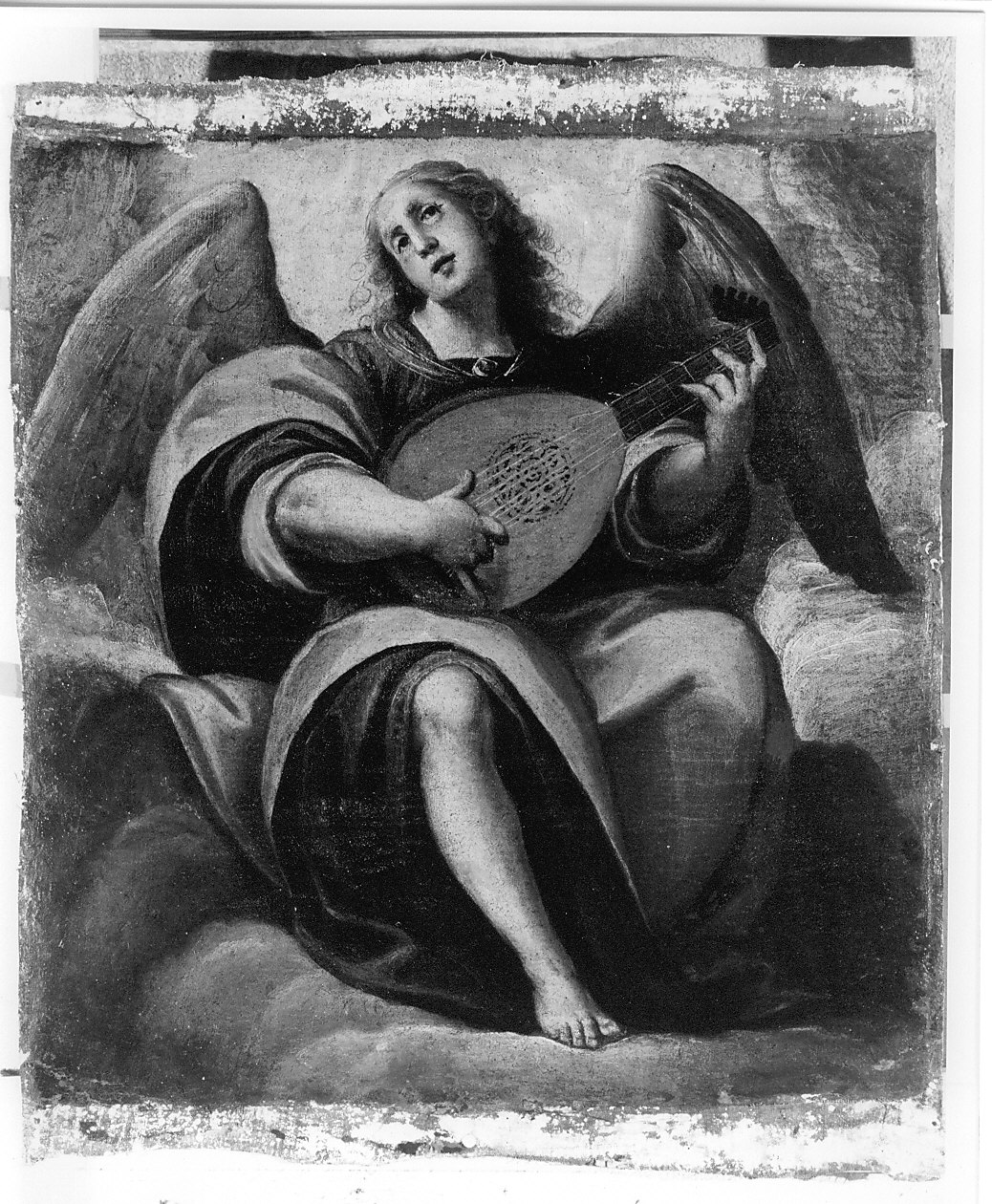 angelo musicante con liuto (dipinto, opera isolata) di Della Rovere Giovanni Battista detto Fiamminghino, Della Rovere Giovanni Mauro detto Fiamminghino (sec. XVII)