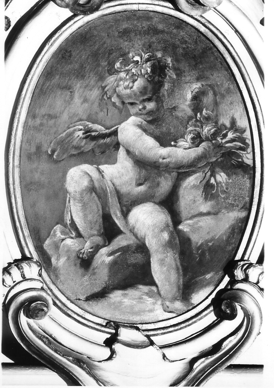 putto con simboli (dipinto, elemento d'insieme) di Borroni Giovan Angelo (scuola) (sec. XVIII)