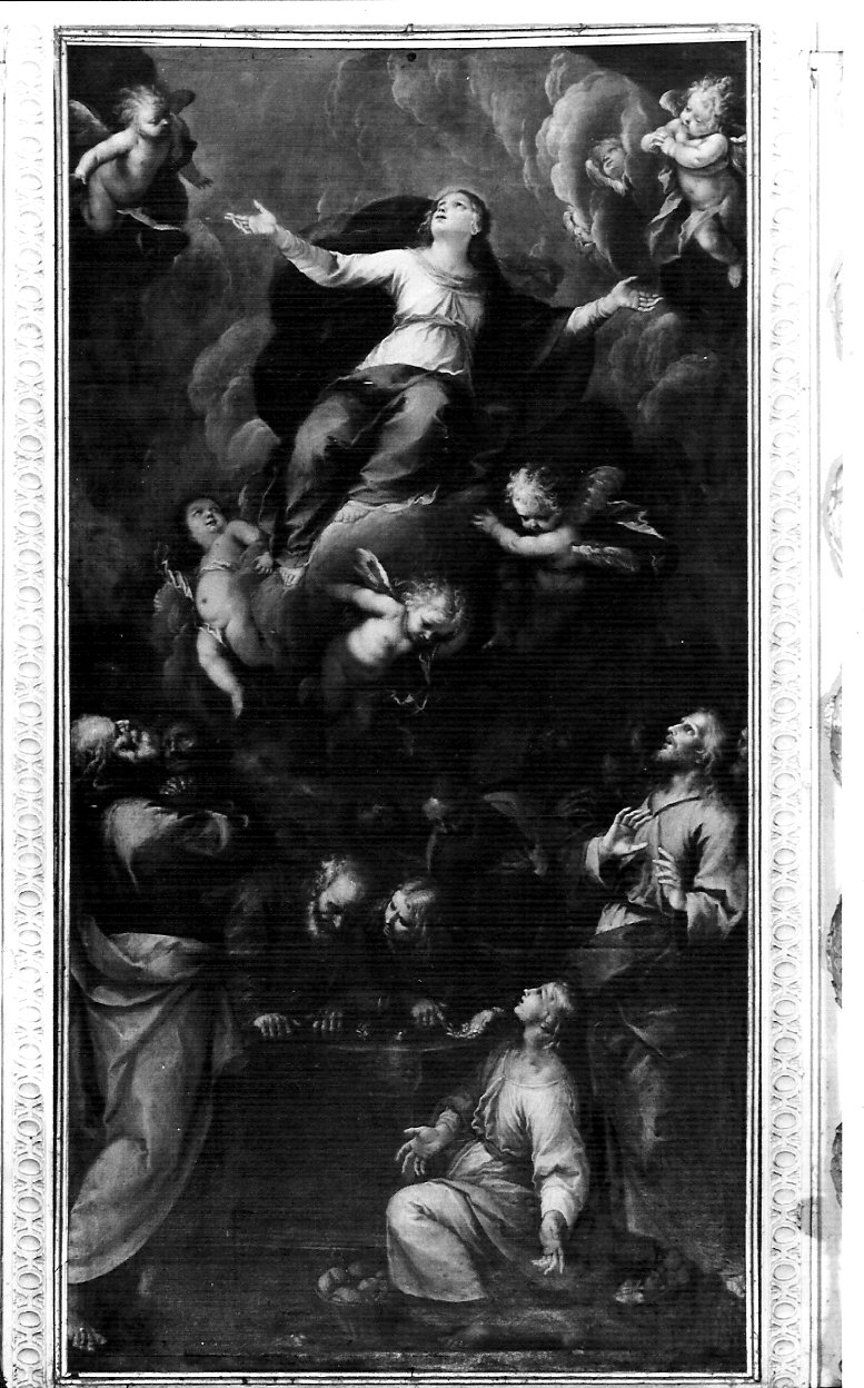 assunzione della Madonna (pala d'altare, opera isolata) di Danedi Giovanni Stefano detto Montalto (attribuito) (secondo quarto sec. XVII)