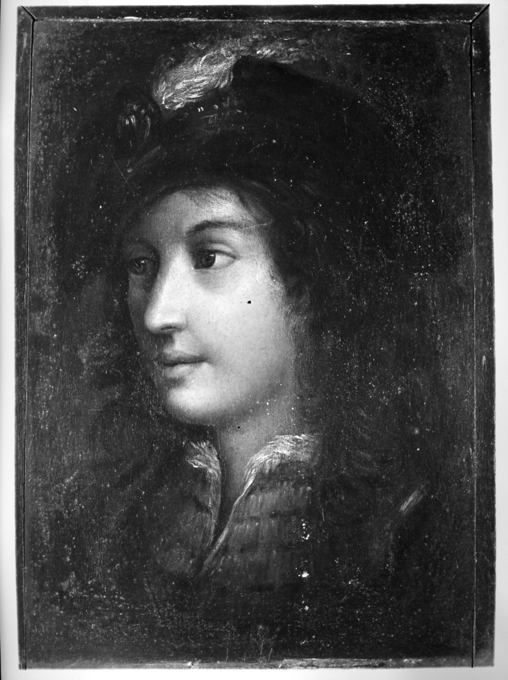 Ritratto di giovane (dipinto, opera isolata) - ambito italiano (sec. XVII)