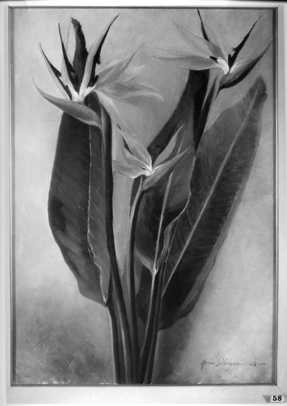 fiori (dipinto, opera isolata) - ambito italiano (sec. XX)