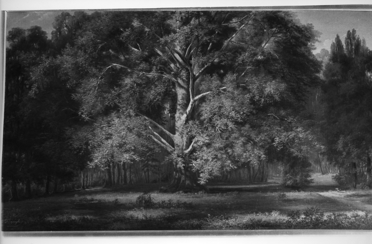 veduta del giardino di Villa Olmo (dipinto, opera isolata) di Capiaghi Francesco (metà sec. XIX)