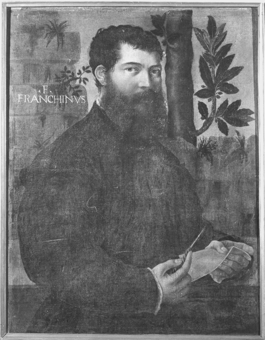 ritratto di F. Franchino (dipinto) - ambito bresciano (secondo quarto sec. XVI)