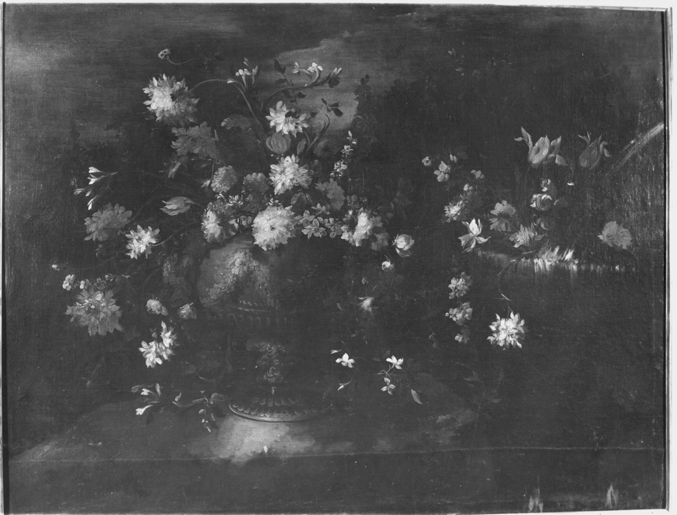 natura morta (dipinto) di Marchioni Elisabetta (attribuito) (seconda metà sec. XVII)