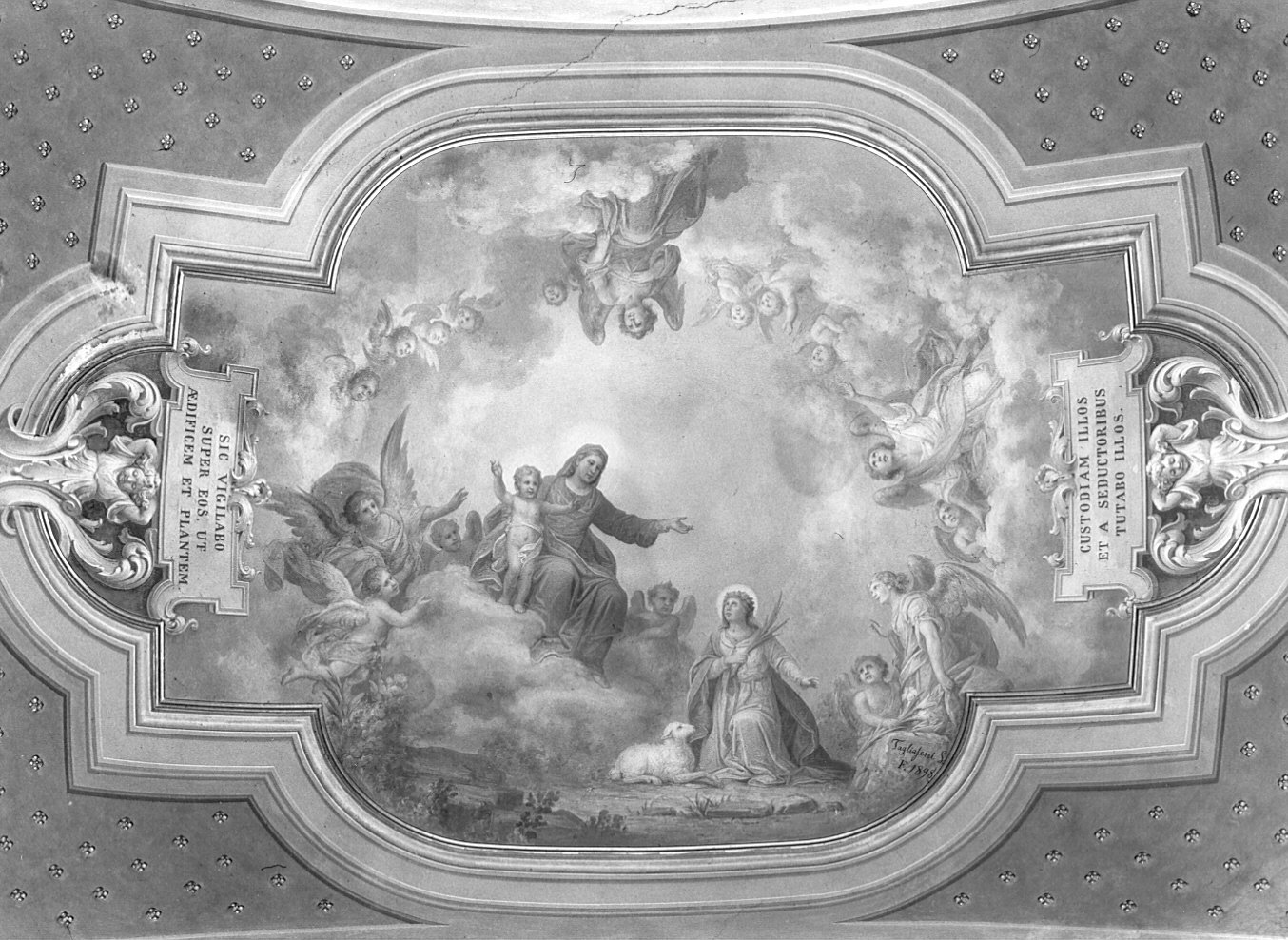 Sant'Agnese condotta al cospetto della Vergine (decorazione pittorica, elemento d'insieme) di Tagliaferri Luigi (attribuito) (sec. XIX)