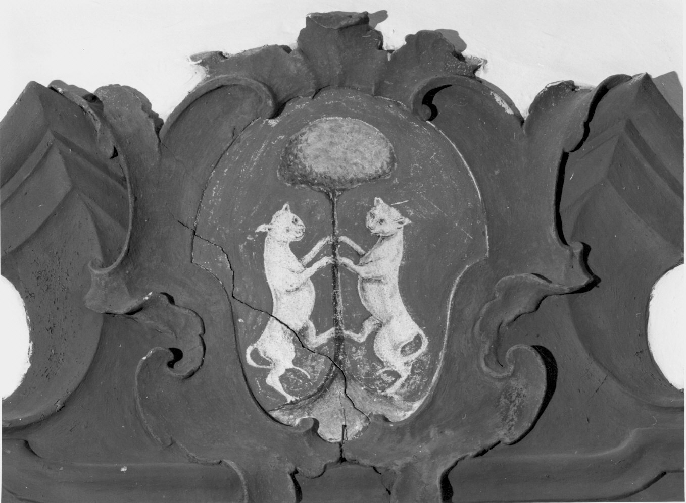 stemma gentilizio nobili Gatti (medaglione ornamentale) - bottega valtellinese, ambito valtellinese (seconda metà sec. XVIII)