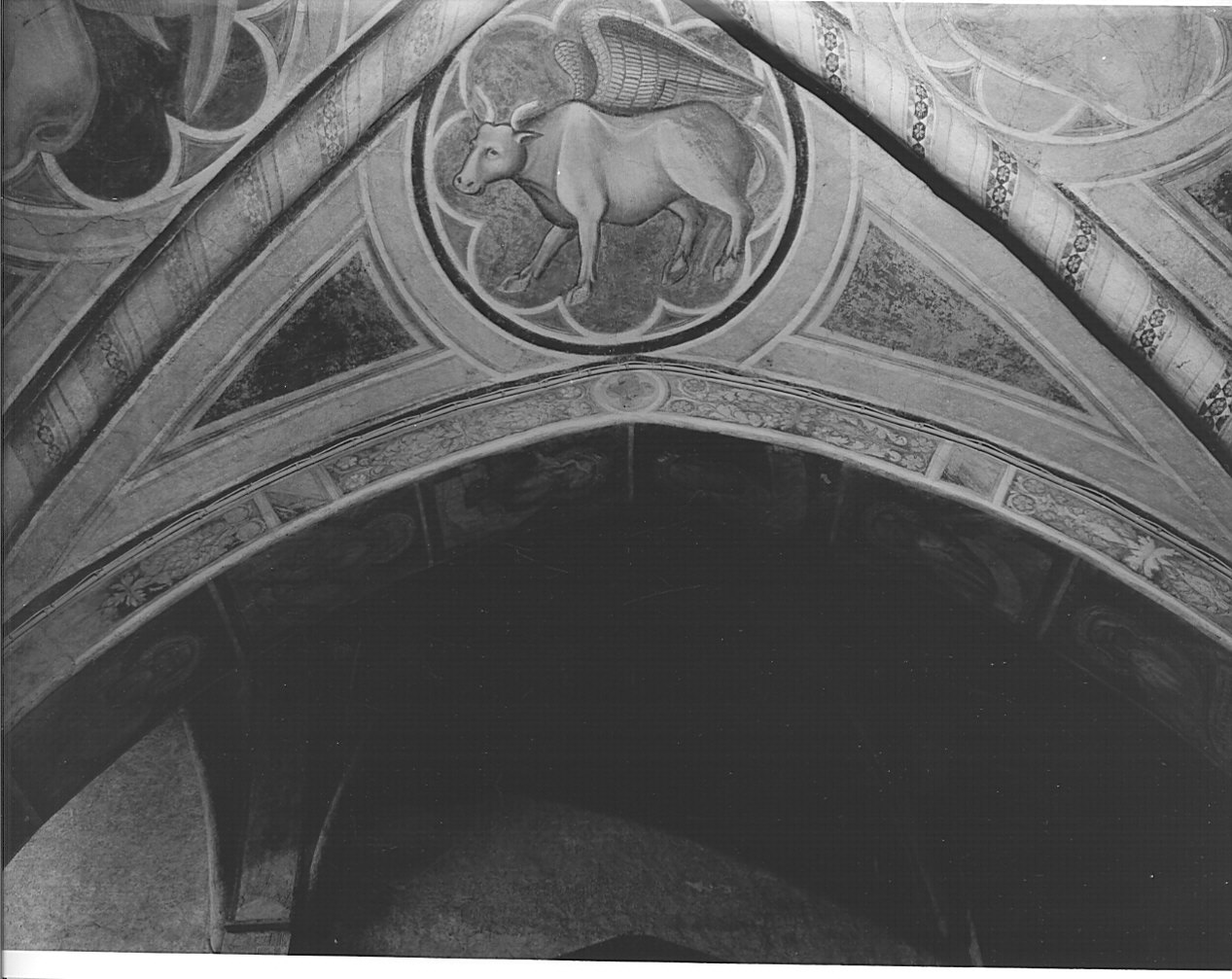 motivi decorativi vegetali (dipinto murale, opera isolata) - ambito lombardo (sec. XIV)