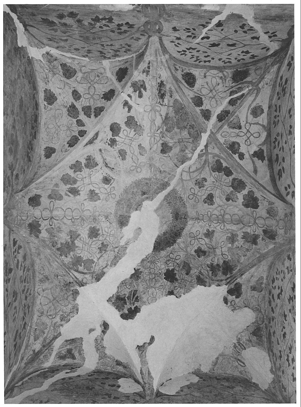 motivi decorativi (dipinto murale, elemento d'insieme) - ambito lombardo (sec. XVI)