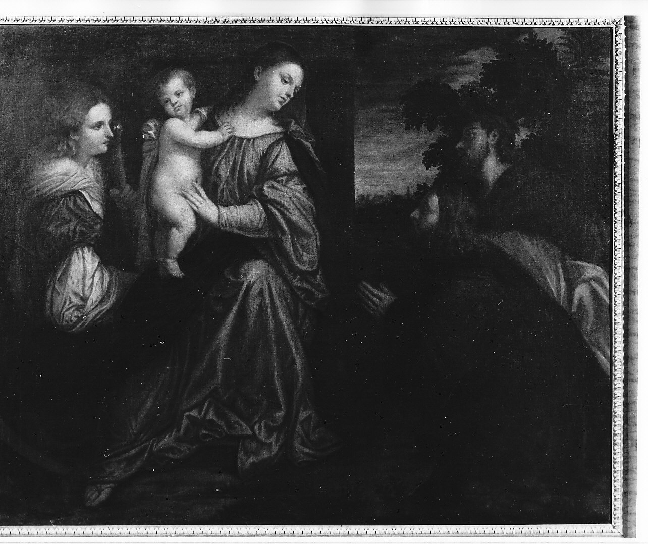 Madonna con Bambino e Santi (dipinto, opera isolata) - ambito veneto (sec. XVI)