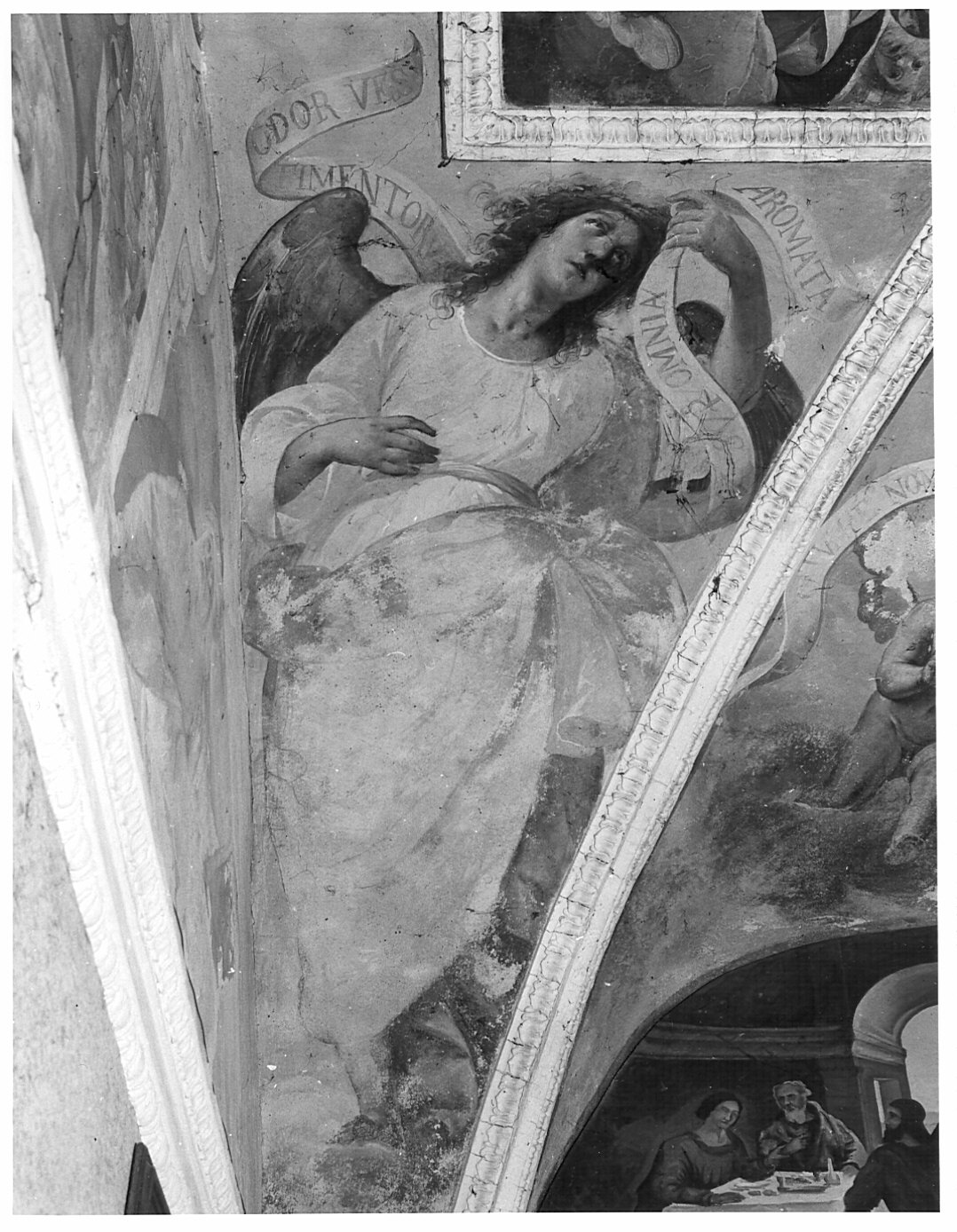 angelo con cartiglio (dipinto murale, ciclo) di Recchi Gian Paolo (attribuito) (sec. XVII)