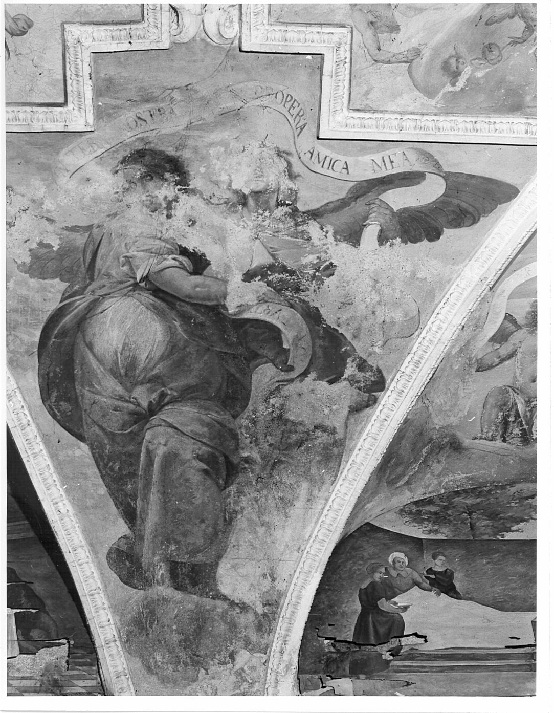 angeli reggicartiglio (dipinto murale, ciclo) di Recchi Gian Paolo (attribuito) (sec. XVII)