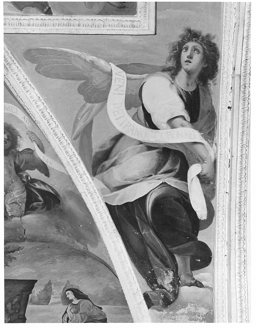 angelo con cartiglio (dipinto murale, ciclo) di Recchi Gian Paolo (attribuito) (sec. XVII)