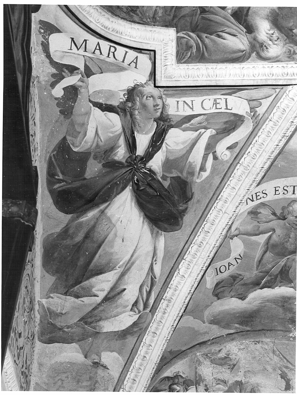 angelo con cartiglio (dipinto, ciclo) di Recchi Gian Paolo (attribuito) (sec. XVII)