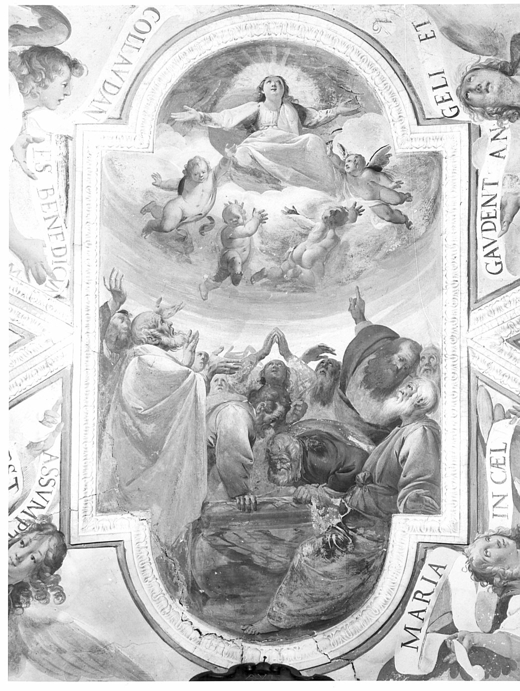assunzione della Madonna (dipinto, ciclo) di Recchi Gian Paolo (attribuito) (sec. XVII)