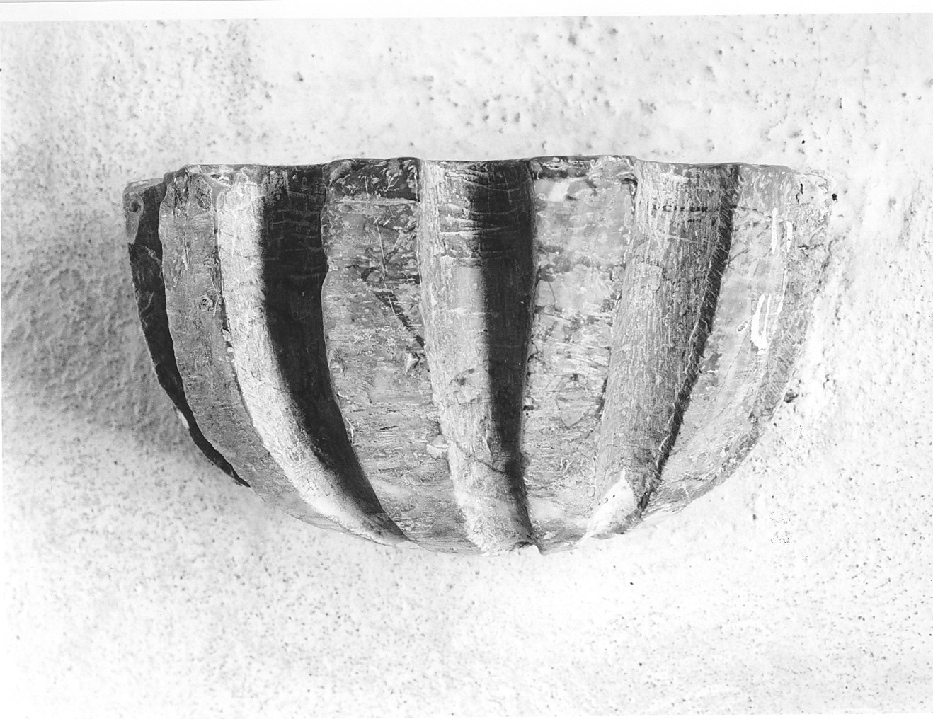 acquasantiera - da parete, opera isolata - bottega comasca (sec. XVIII)