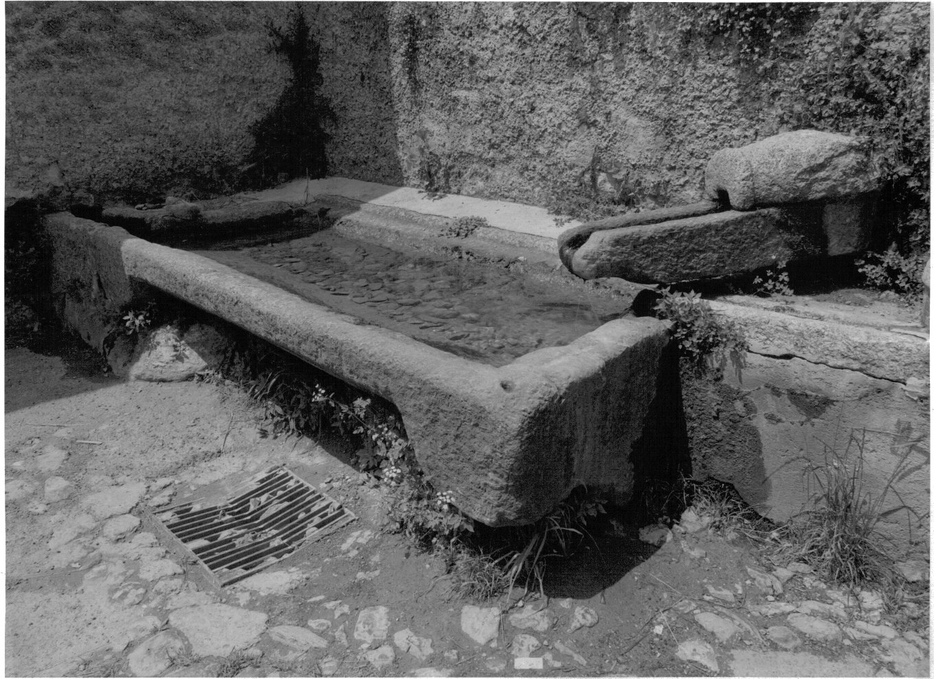 abbeveratoio, opera isolata - bottega lombarda (prima metà sec. XX)