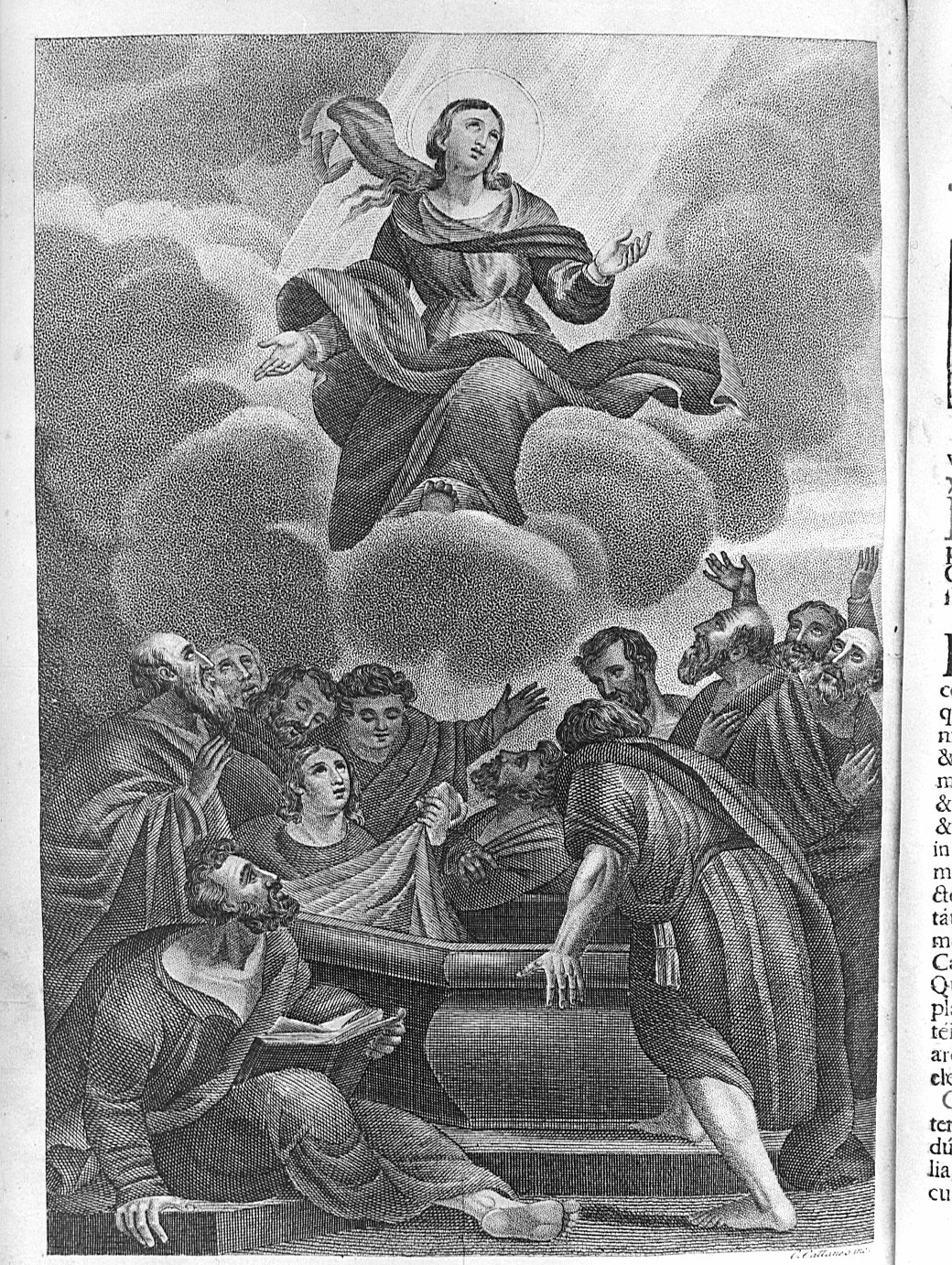 Madonna Assunta (stampa) - ambito veneto (sec. XVIII)