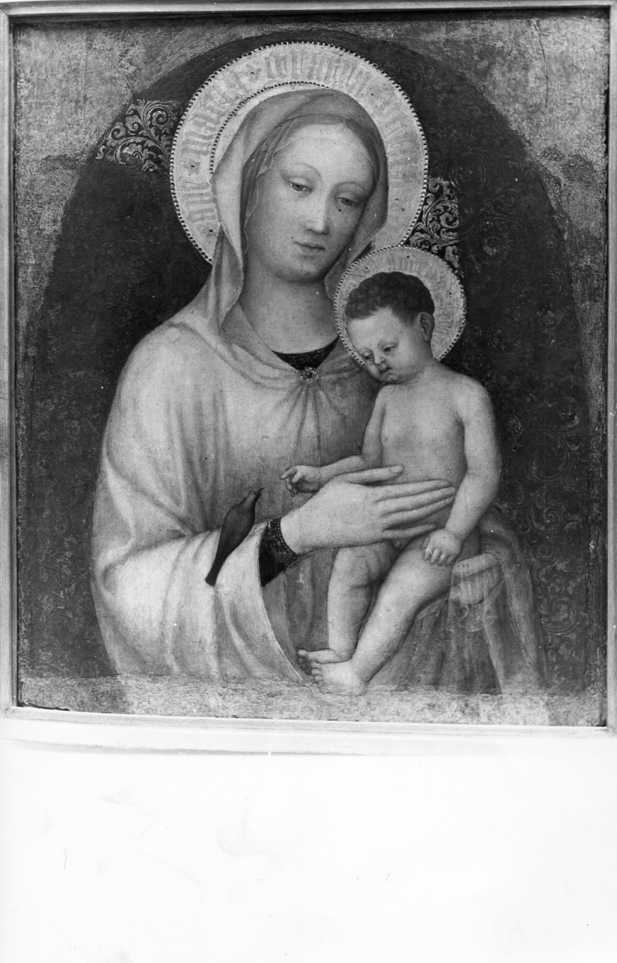 Madonna con Bambino (dipinto, opera isolata) di Bellini Jacopo (metà sec. XV)