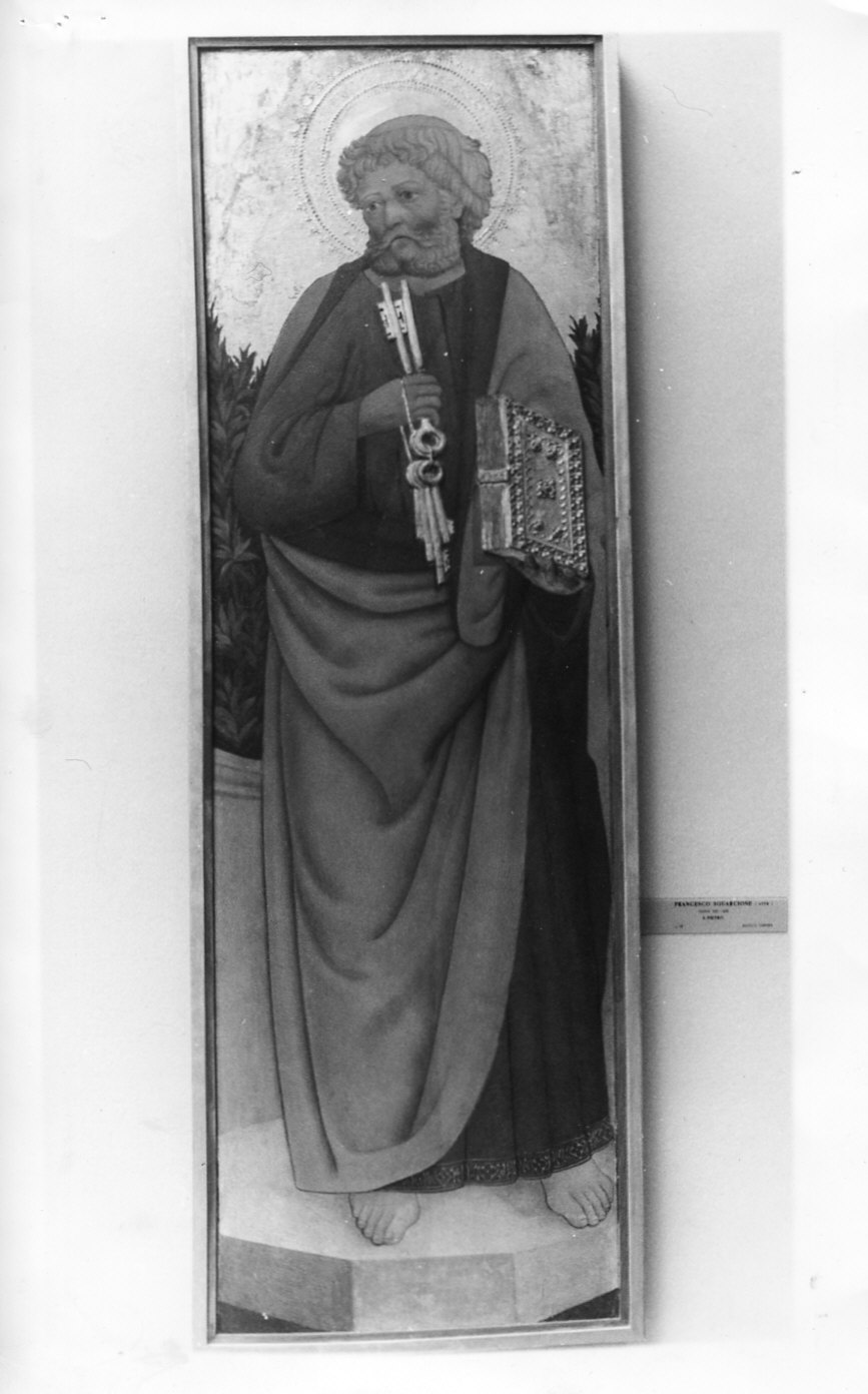San Pietro (dipinto, opera isolata) - ambito padovano (metà sec. XV)