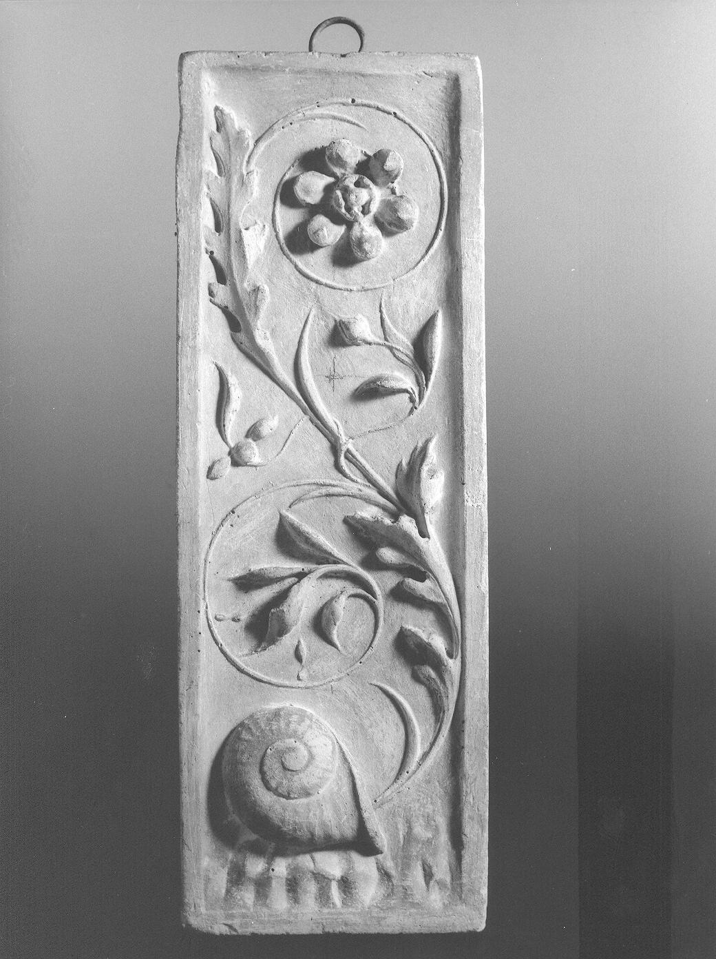 Ornato (rilievo, opera isolata) di Cassolo Bracchi Regina (attribuito) (sec. XX)