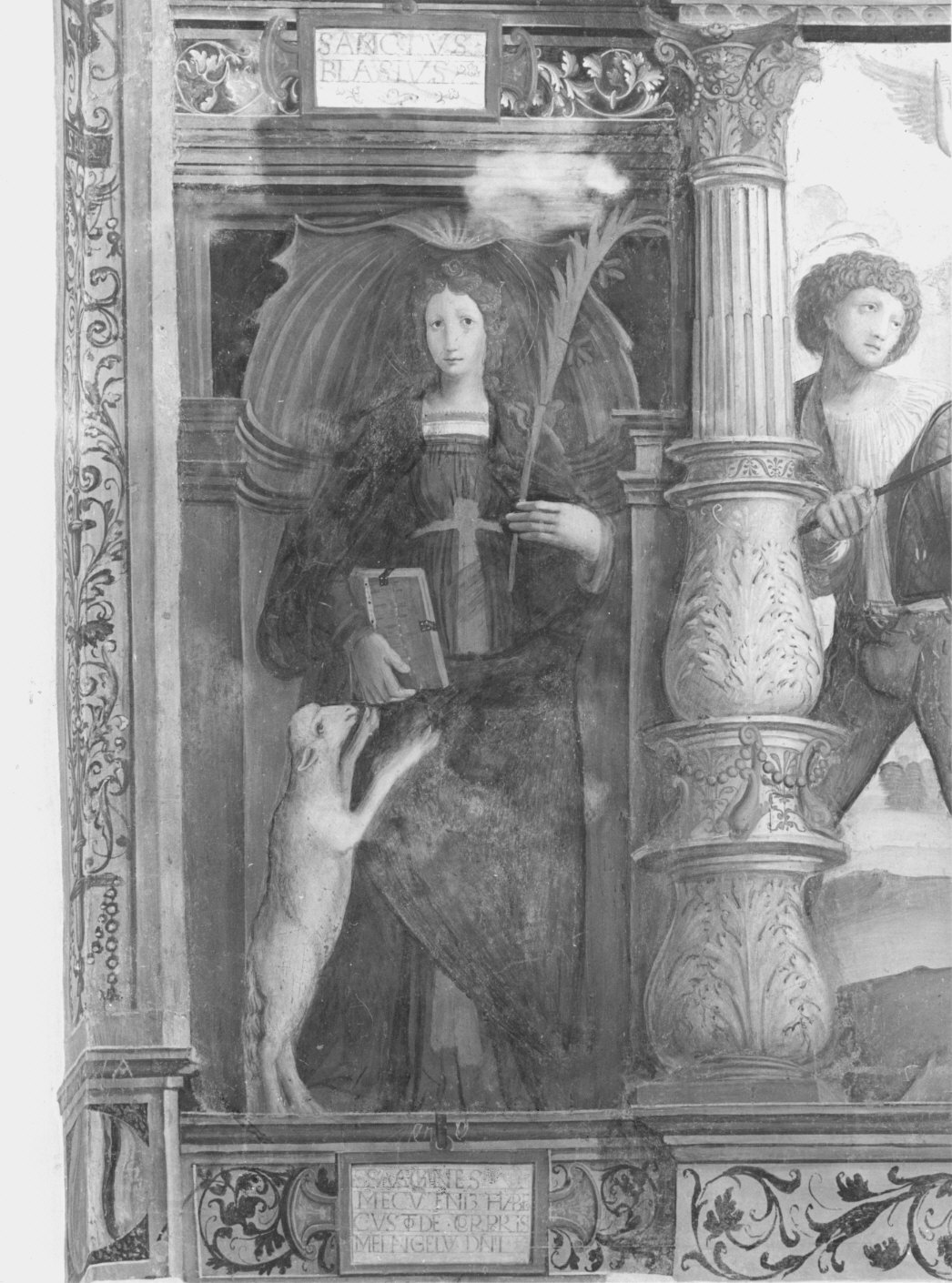 Sant'Agnese (dipinto murale, elemento d'insieme) di Pezzi Domenico (attribuito) (sec. XVI)