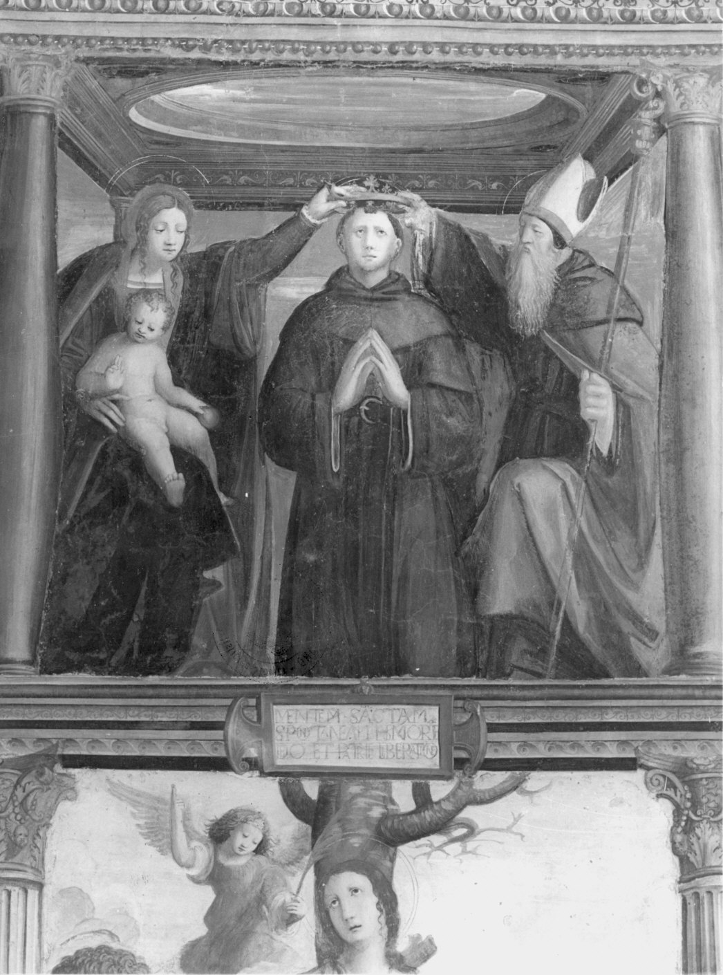 Incoronazione di San Nicola da Tolentino (dipinto murale, elemento d'insieme) di Pezzi Domenico (attribuito) (sec. XVI)