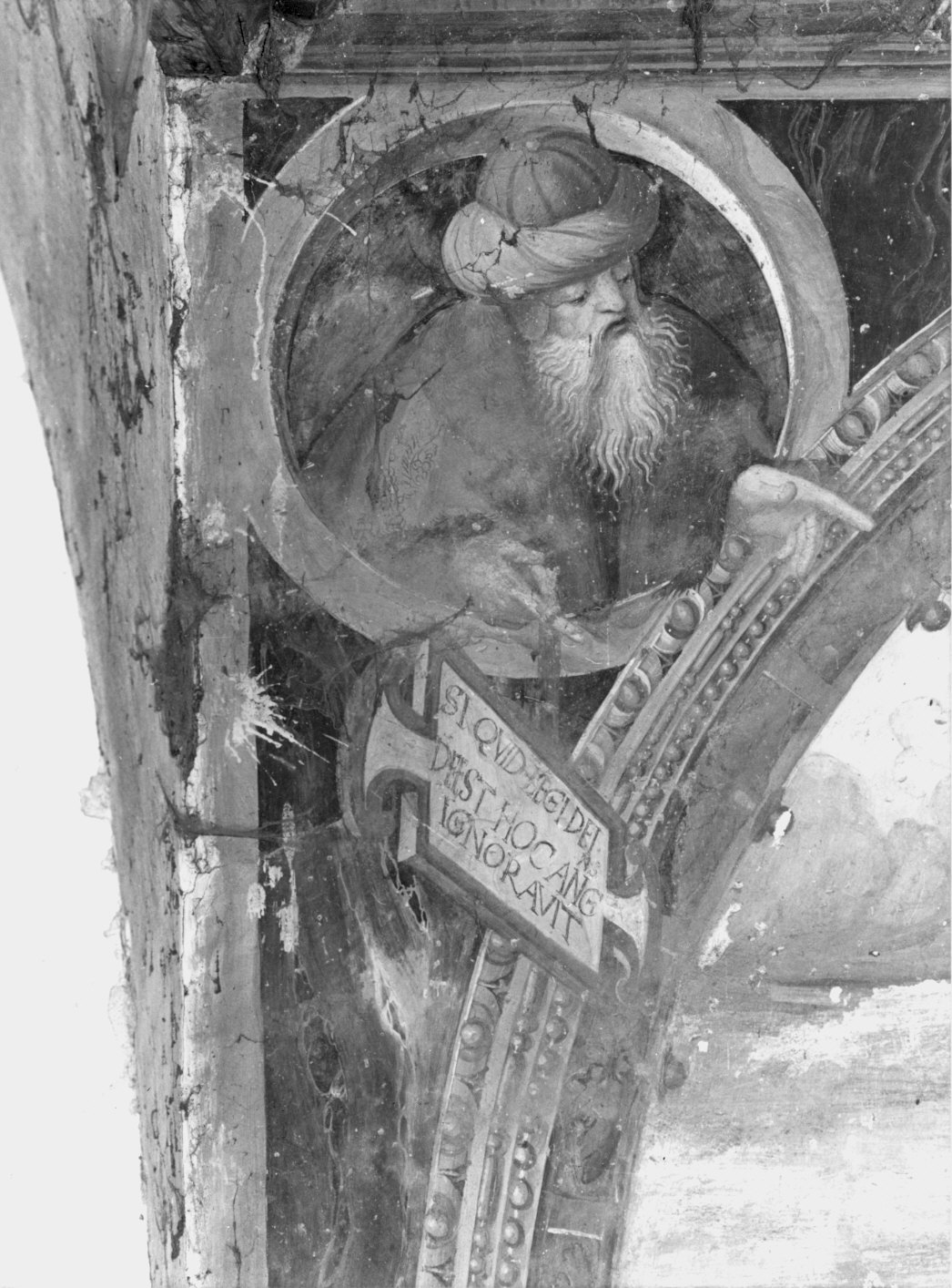 L'albero genealogico agostiniano (dipinto murale) - ambito lombardo (primo quarto sec. XVI)