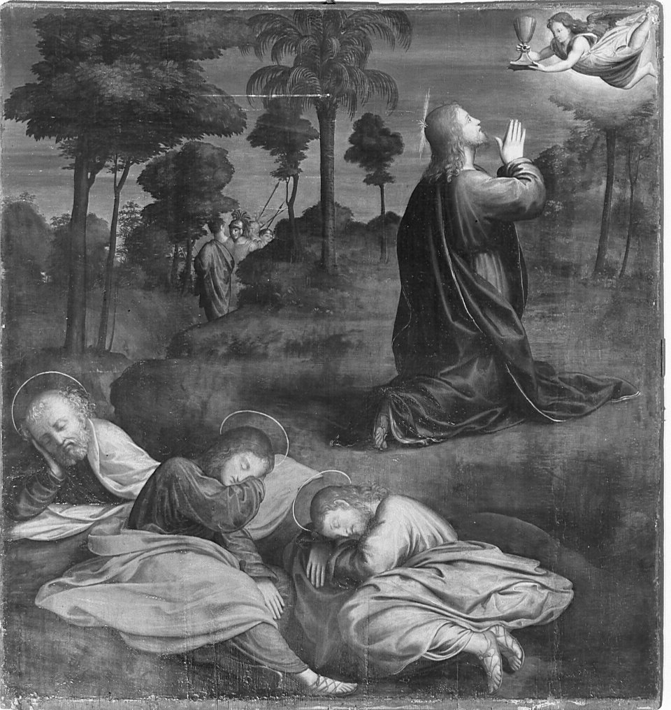 orazione di Cristo nell'orto di Getsemani (dipinto) di Ferrari Bernardino (attribuito) (prima metà sec. XVI)