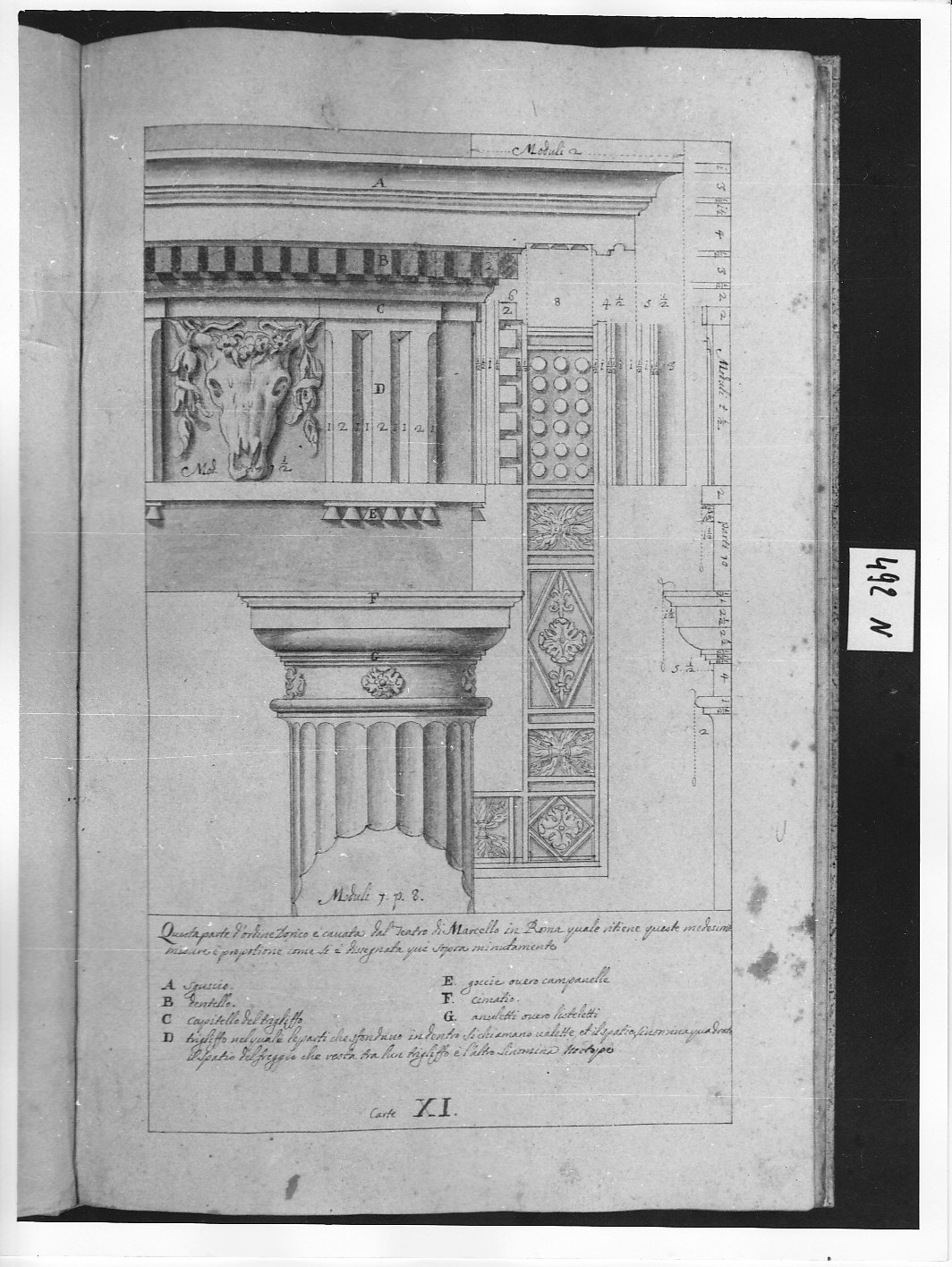 Estremità superiore di colonna dorica con architrave, fregio e cornicione (disegno architettonico, opera isolata) di Ligari Pietro (attribuito) (sec. XVIII)