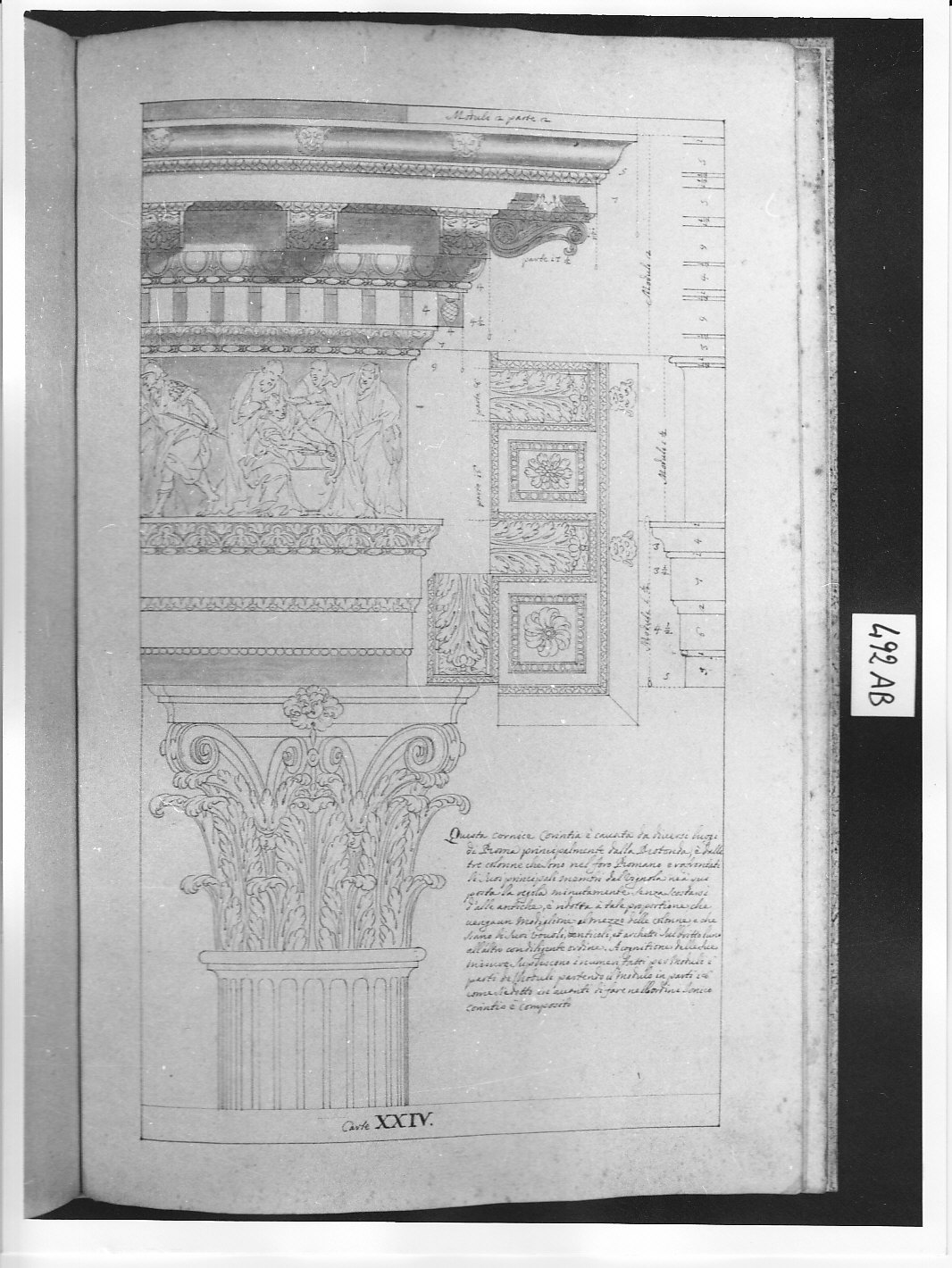 Parte superiore della colonna corinzia, con capitello, architrave, fregio e cornice (disegno architettonico, opera isolata) di Ligari Pietro (attribuito) (sec. XVIII)