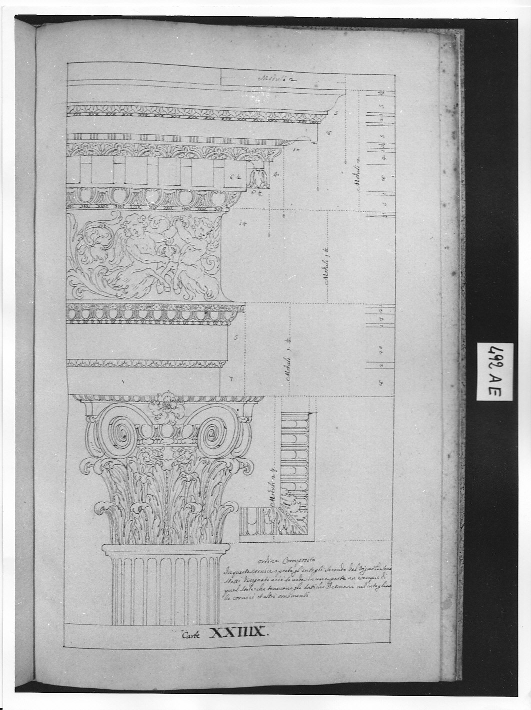 Parte superiore della colonna composita, con capitello, architrave, fregio e cornice (disegno architettonico, opera isolata) di Ligari Pietro (attribuito) (sec. XVIII)