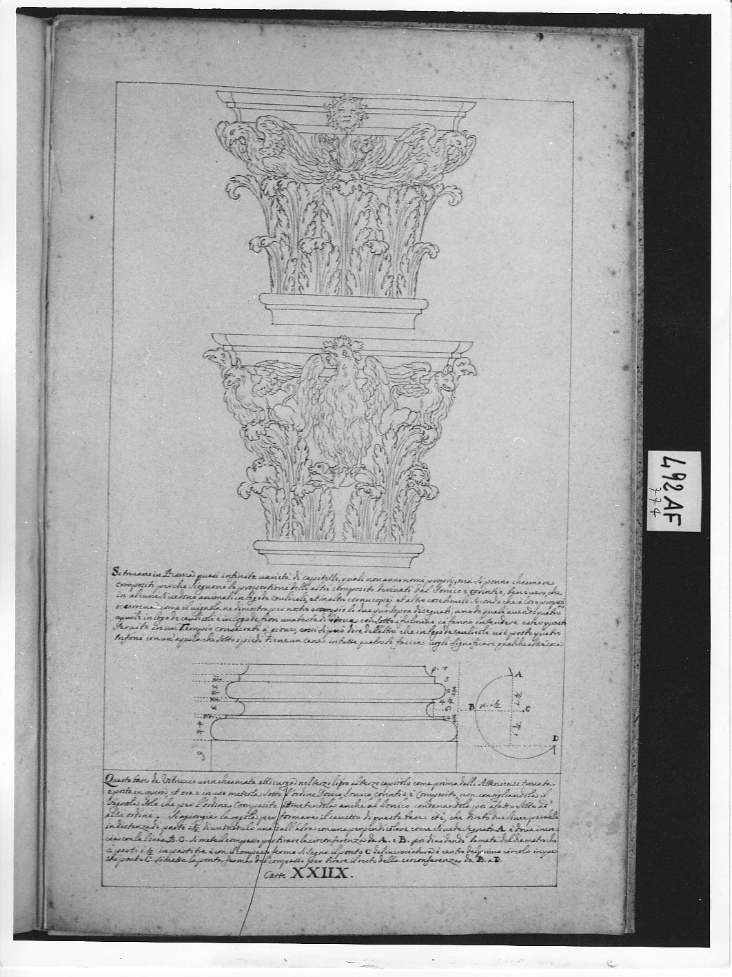 Prospetto di due capitelli e base di colonna (disegno architettonico, opera isolata) di Ligari Pietro (attribuito) (sec. XVIII)
