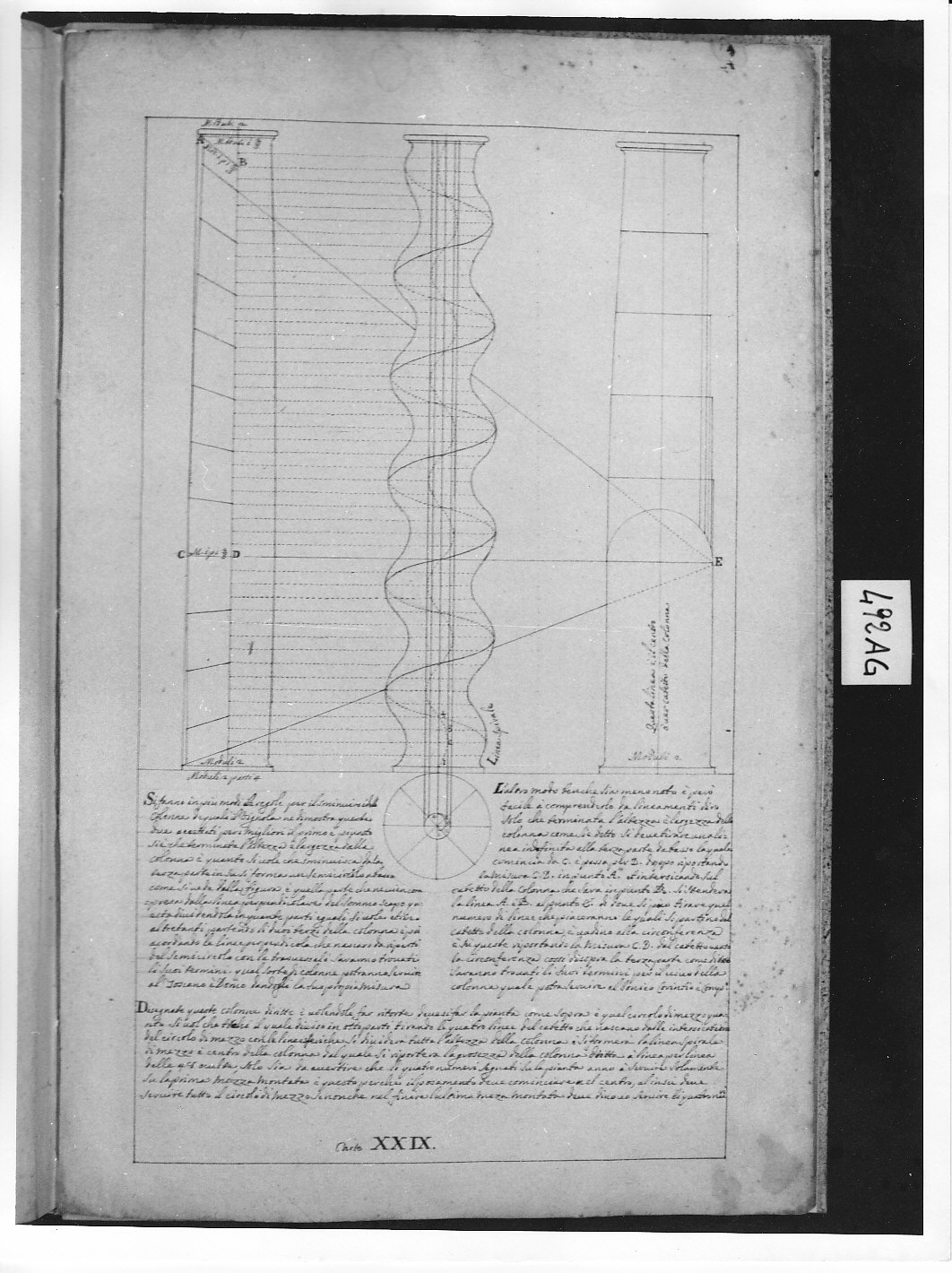 Tre fusti di colonne con dimostrazione geometrica (disegno architettonico, opera isolata) di Ligari Pietro (attribuito) (sec. XVIII)
