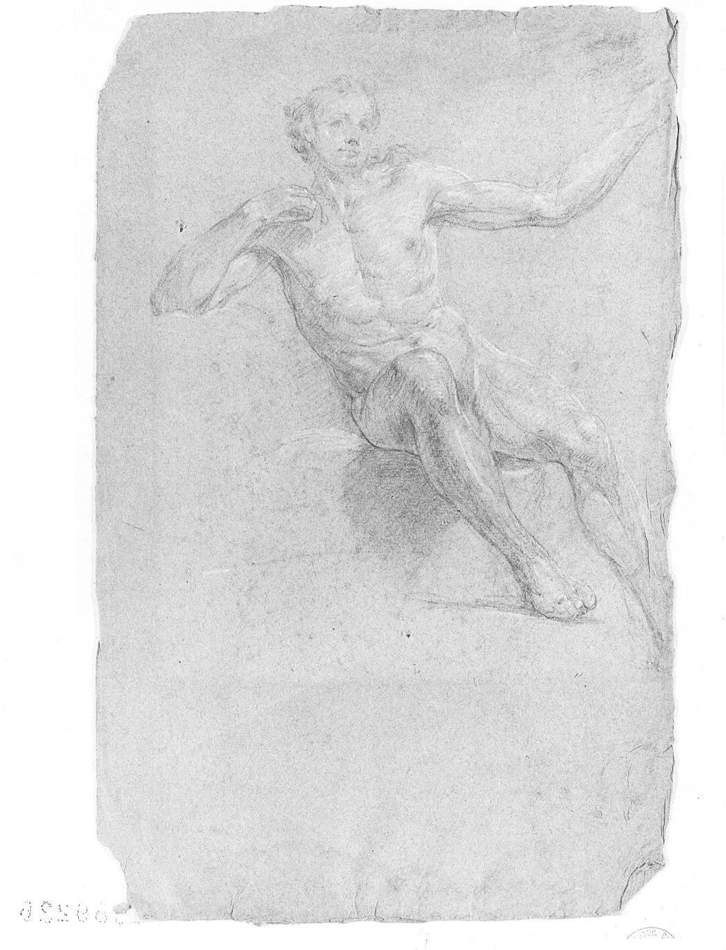 Studio anatomico (disegno, opera isolata) di Carloni Carlo Innocenzo (attribuito) (sec. XVIII)