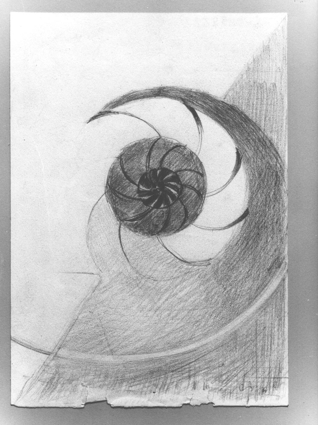 Studio/ Fiore (disegno) di Cassolo Bracchi Regina (attribuito) (sec. XX)