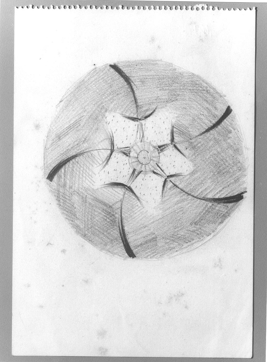 Studio di fiore (disegno) di Cassolo Bracchi Regina (attribuito) (sec. XX)