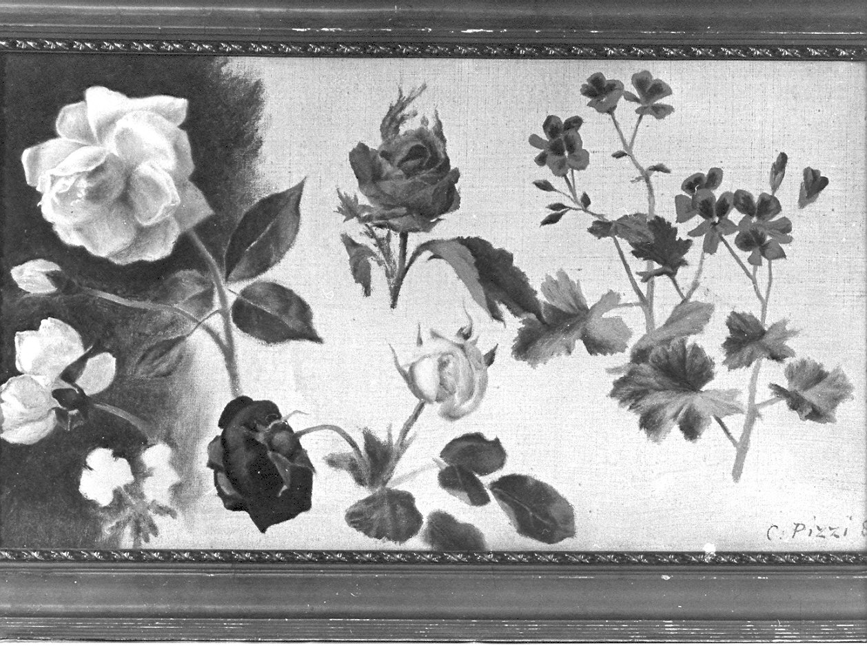 fiori (dipinto, opera isolata) di Pizzi Carlo (sec. XIX)