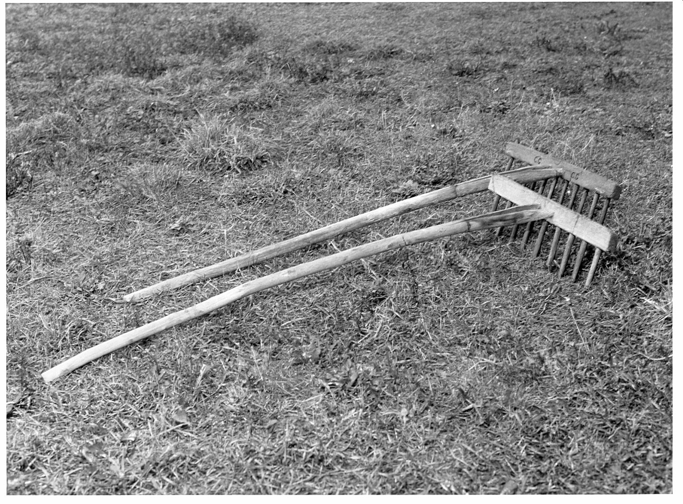 Non rilevato (rastrello) - bottega vigevanese (sec. XX)