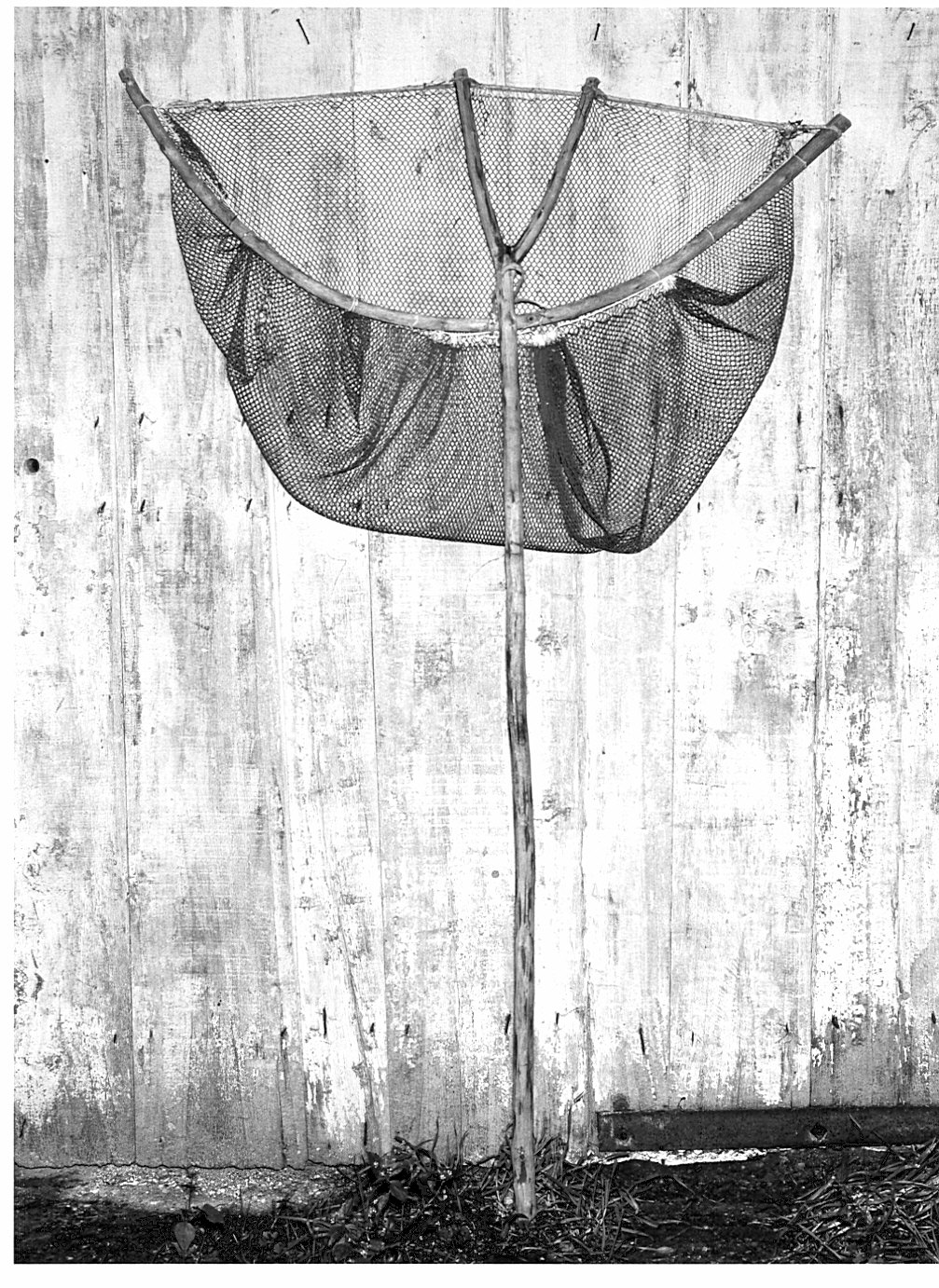 Non rilevato (rete a mano) - bottega vigevanese (sec. XX)