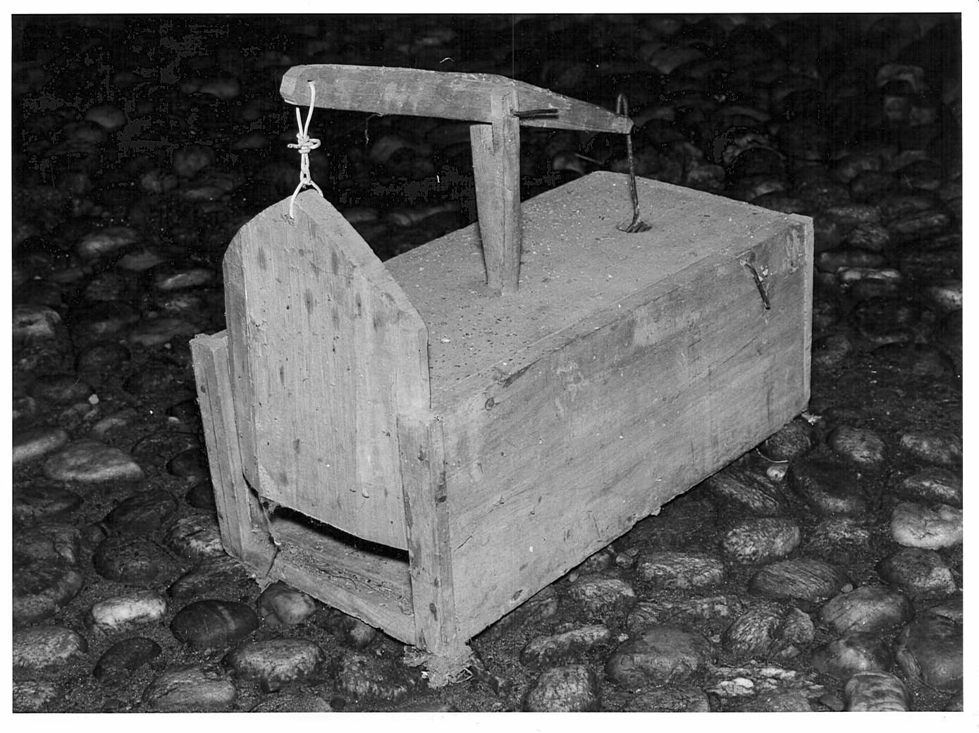 Non rilevato (trappola per topi) - bottega vigevanese (sec. XX)