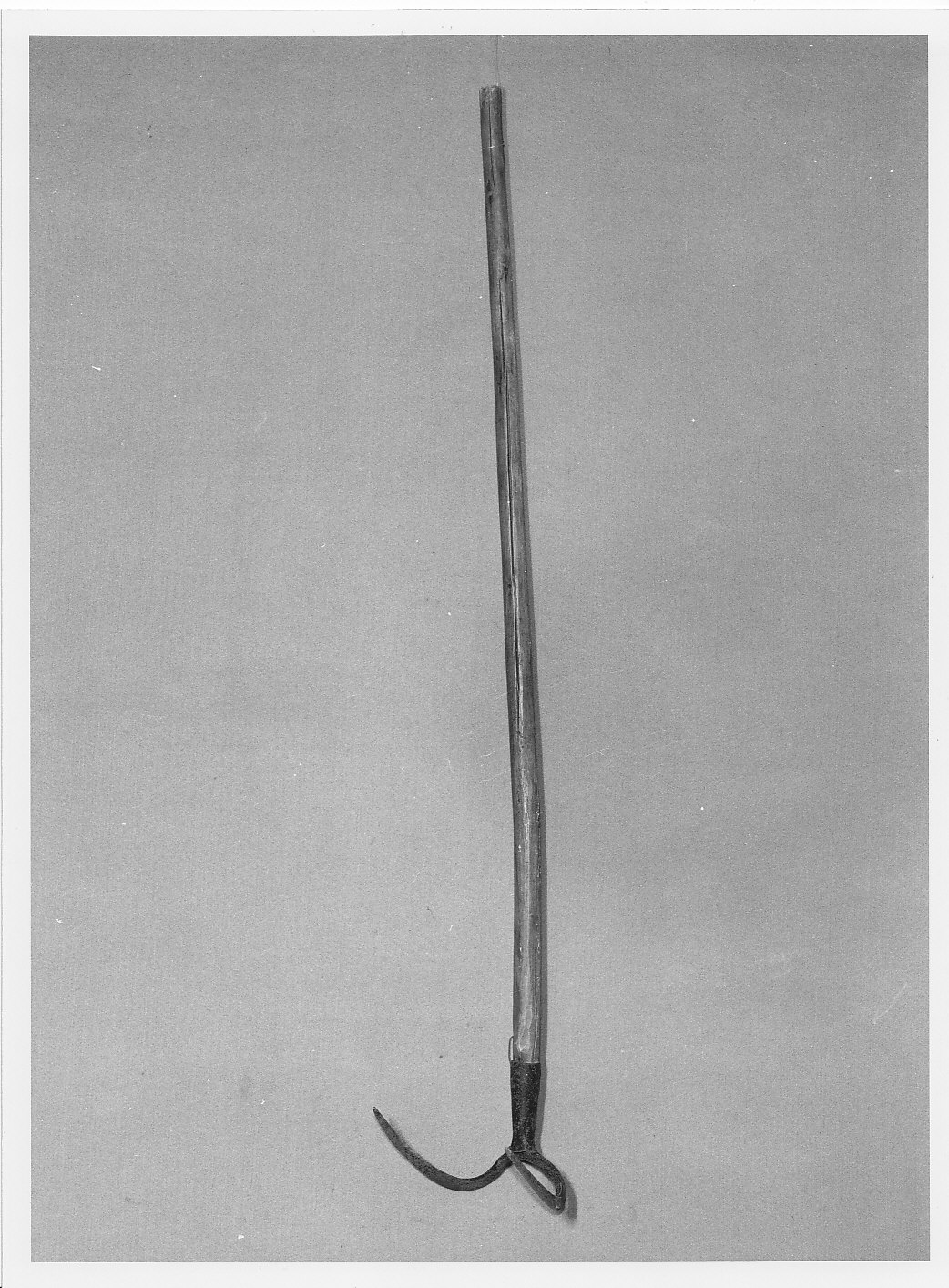 forcone con due denti - bottega (sec. XIX)