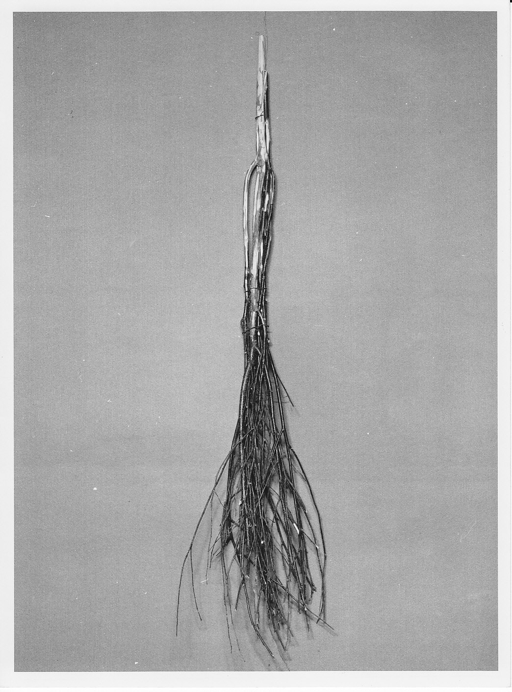 scopetta - bottega (sec. XIX)