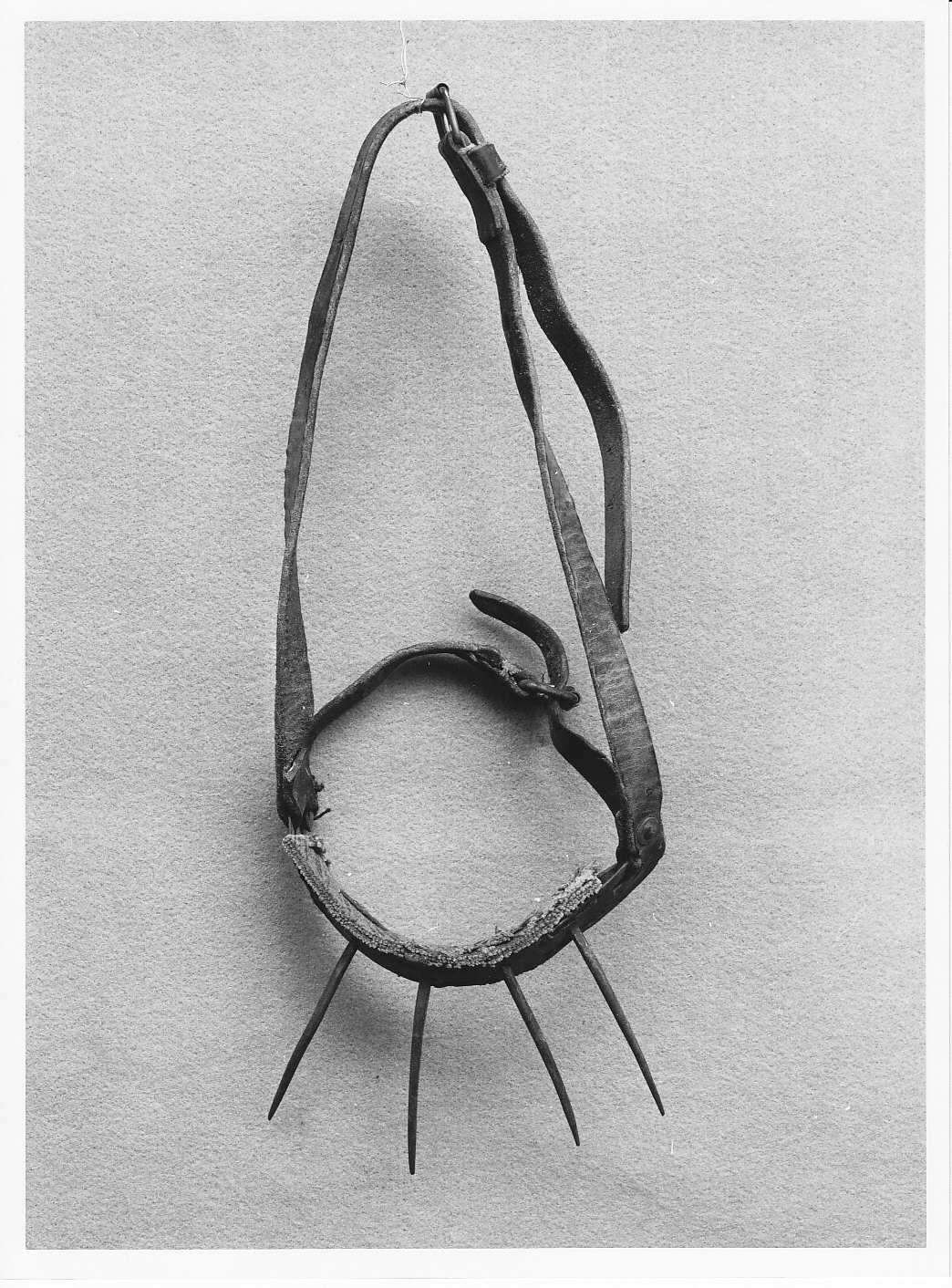 museruola da vitello - bottega (sec. XIX)