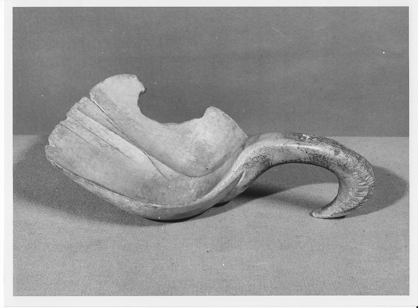 cucchiaio di legno - bottega (sec. XIX)