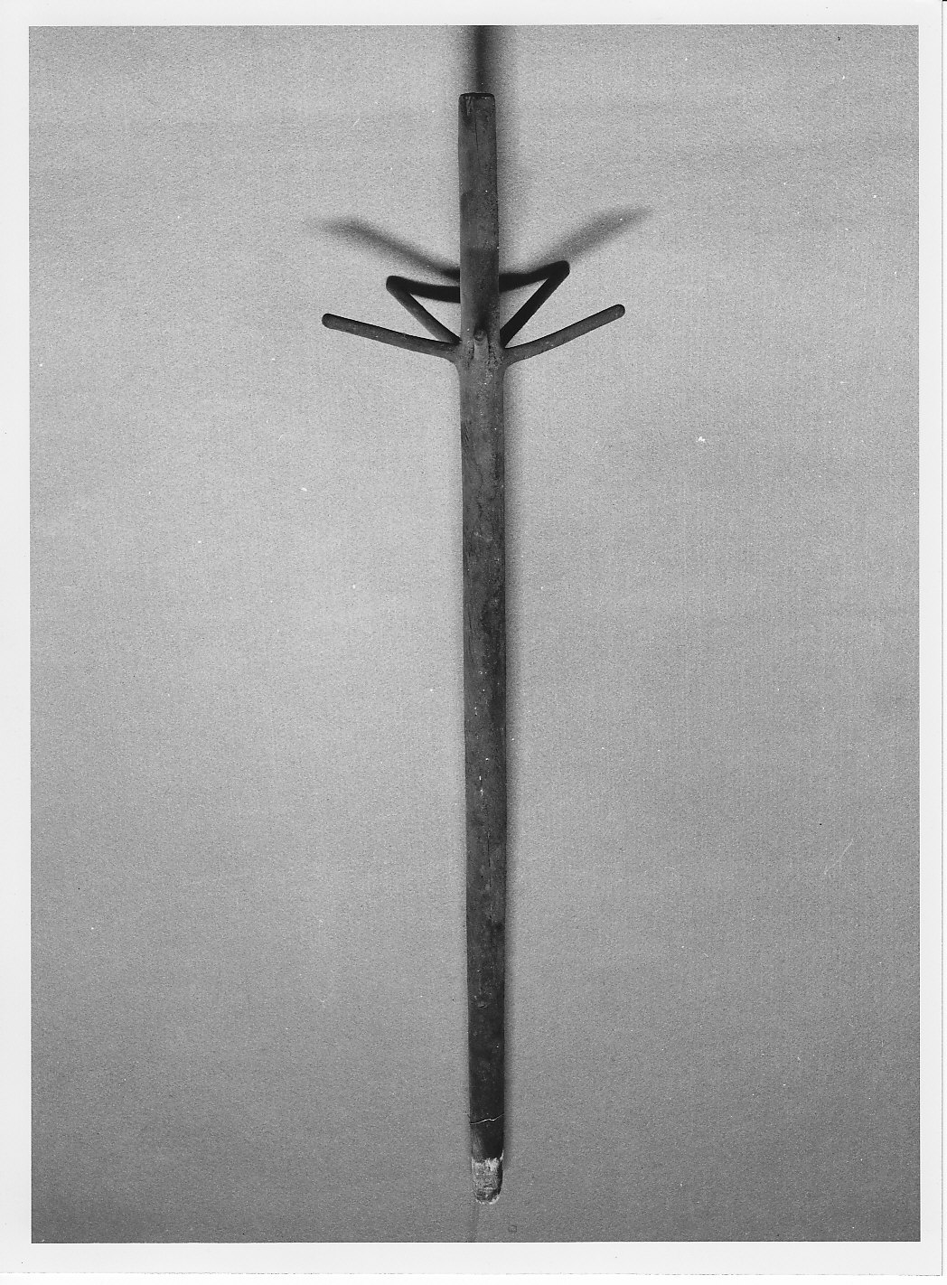 attrezzo da cucina - bottega (sec. XIX)