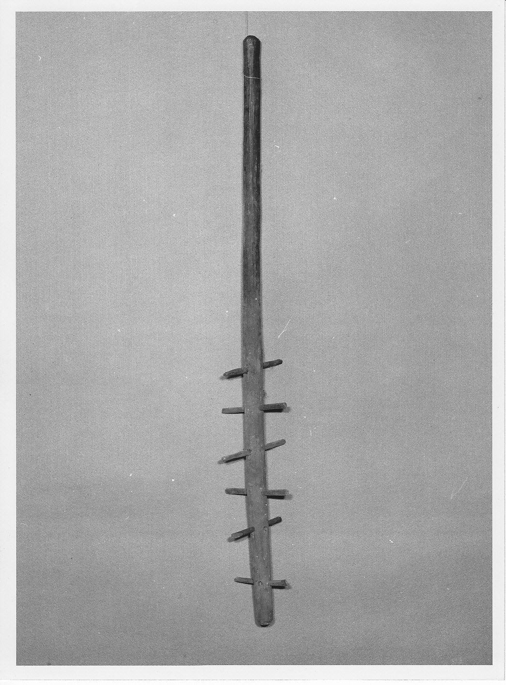 attrezzo da cucina - bottega (sec. XIX)