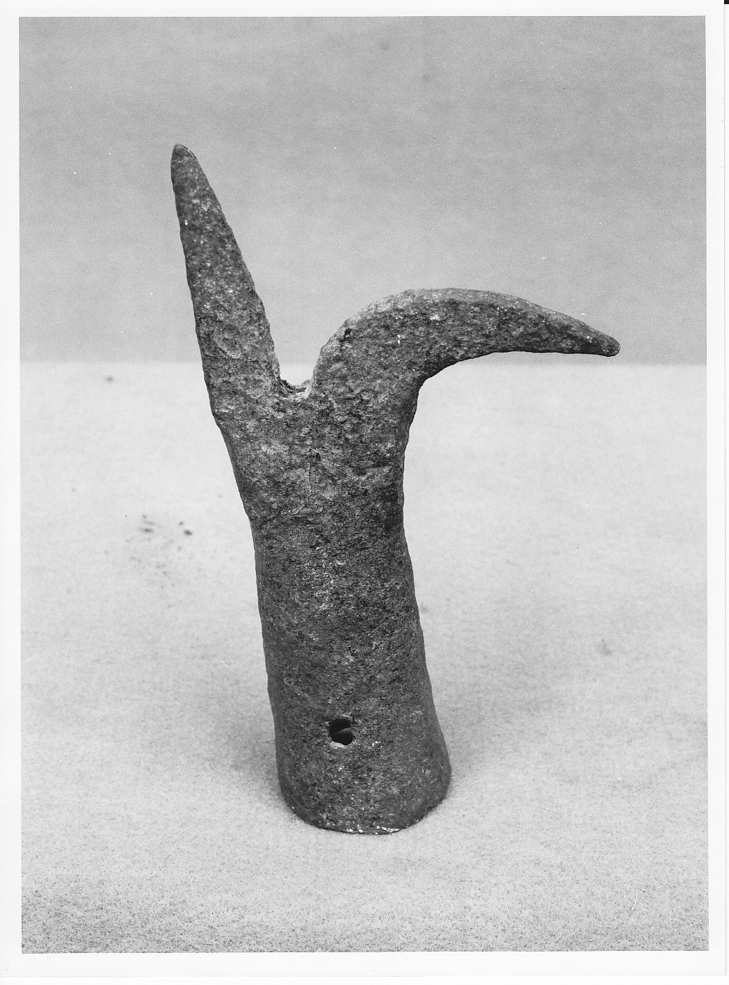 arpione - bottega (sec. XIX)