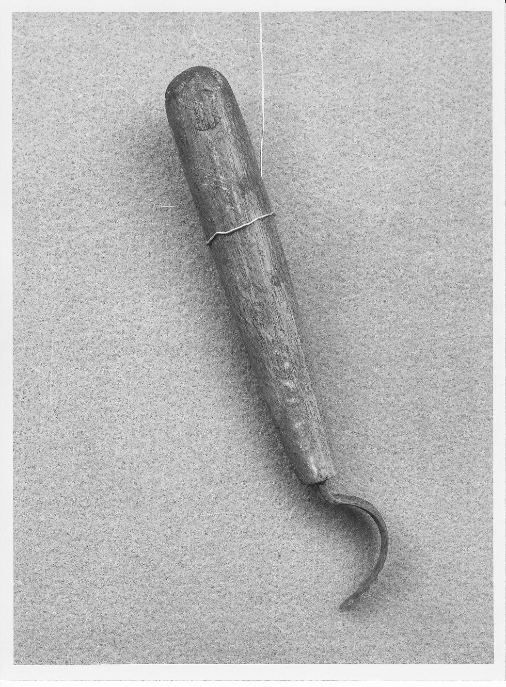 sgorbia - bottega (sec. XIX)