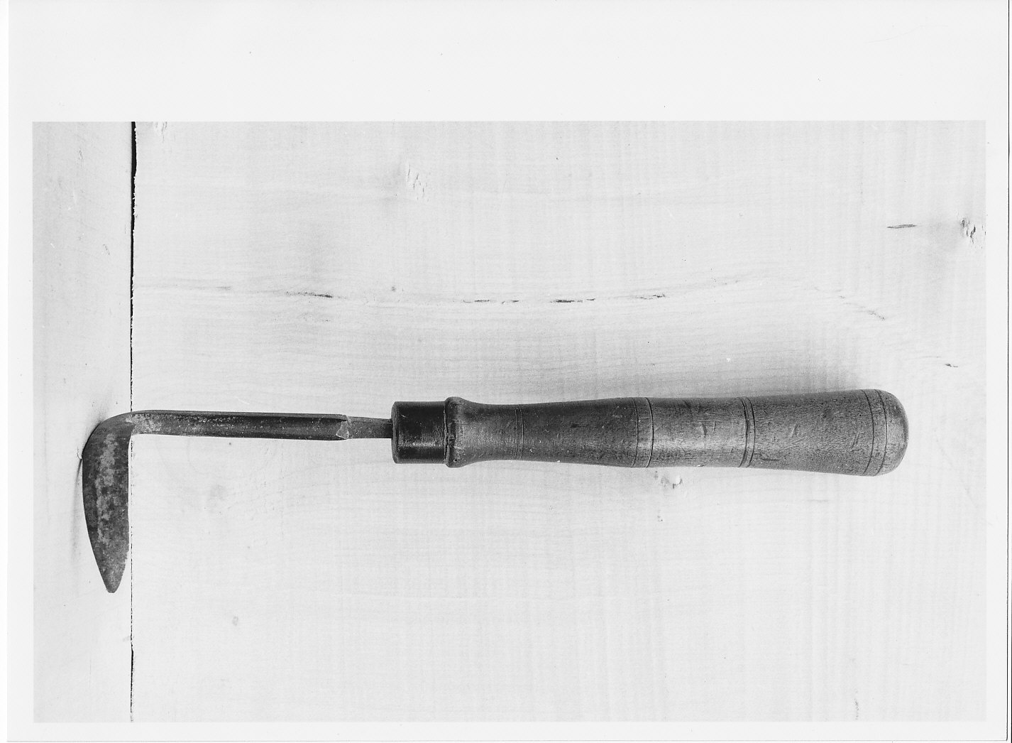 cavino - bottega (sec. XIX)